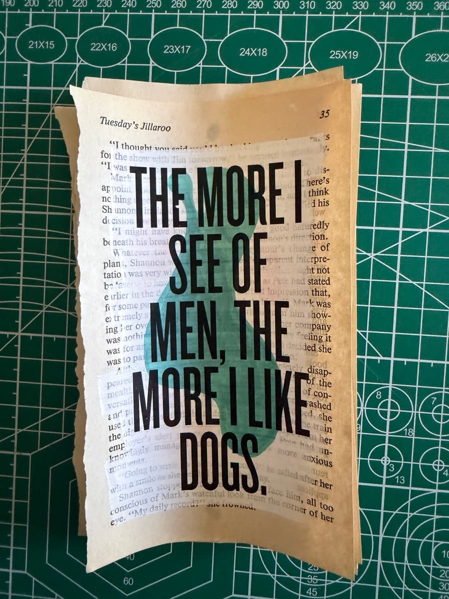THE MORE I SEE OF MEN, THE MORE I LIKE DOGS : over a teal painted block on a torn paperback page