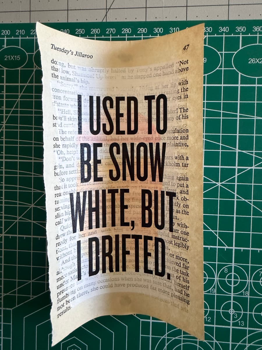 IF YOU OBEY ALL THE RULES, YOU MISS ALL THE FUN : over a green-painted block on a torn paperback page