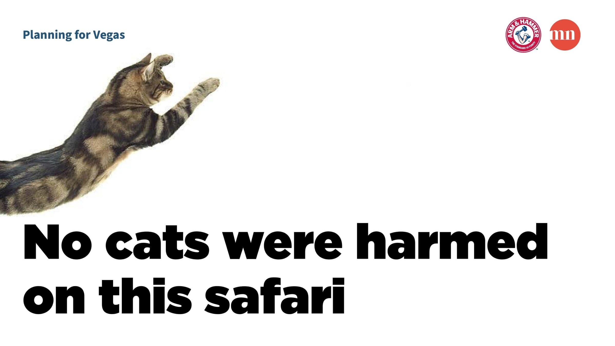 The internal planning deck title slide: a tabby cat caught mid-leap with paw outstretched, set in profile against a white field, the words PLANNING FOR VEGAS in small blue caps top-left, the Arm & Hammer badge and Made by the Collective mark top-right, and 'No cats were harmed on this safari' set in giant black sans display caps anchoring the lower half of the slide.